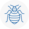 Bed Bug Extermination In Wilmslow